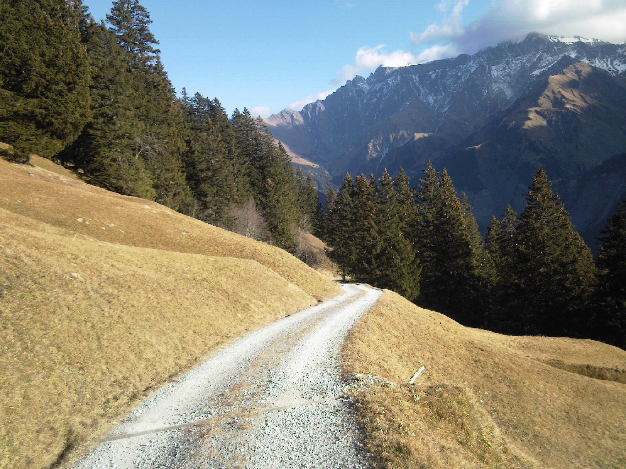 Weg ins Tal zurück