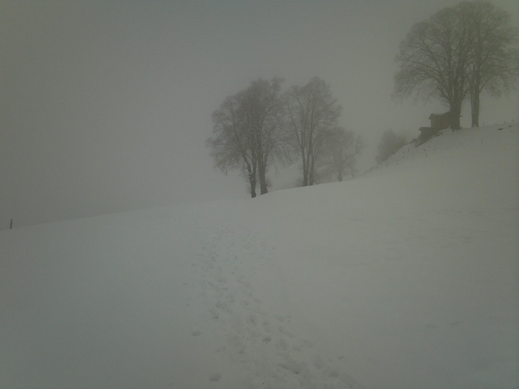 Wanderweg im Nebel