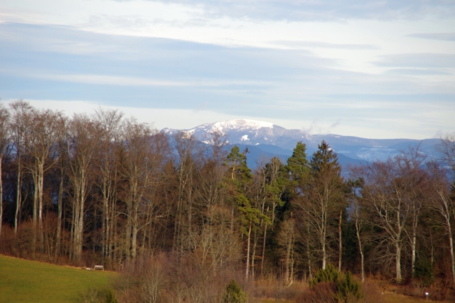Feldberg