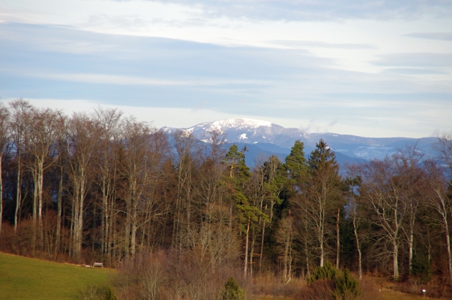 Feldberg