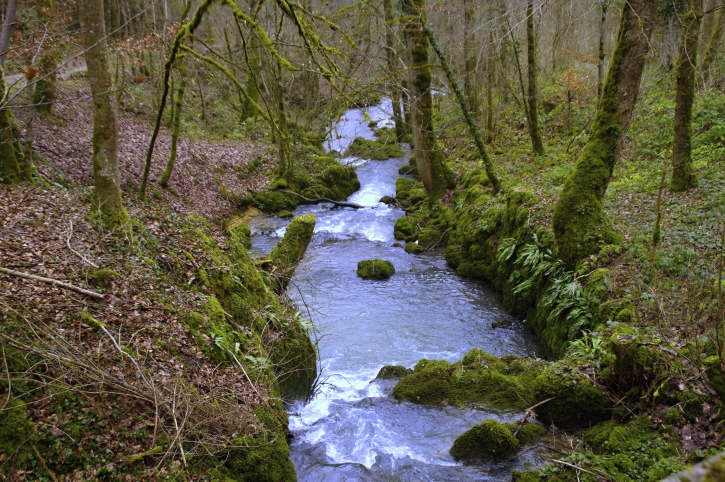 Der Seebach