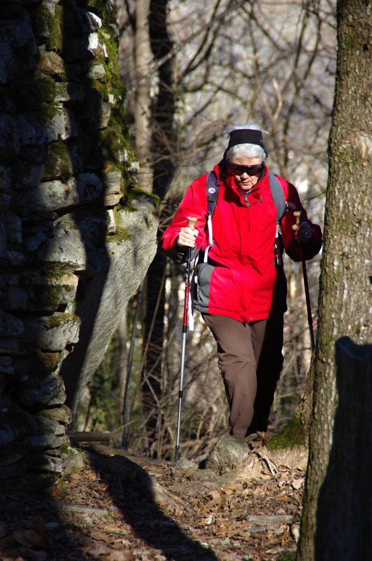 Waldweg