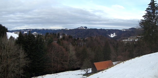 Panorama