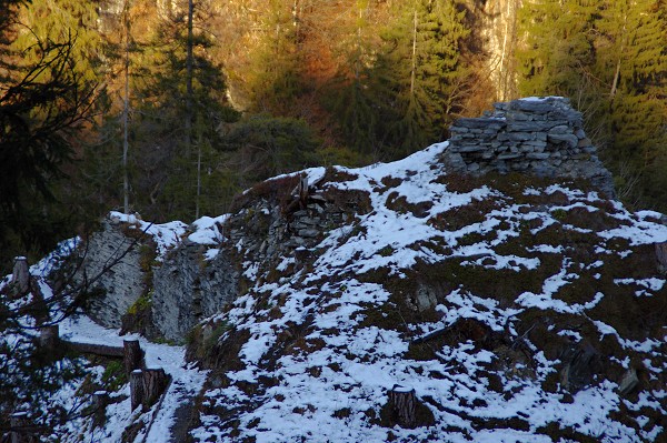 Ruine Wackenau