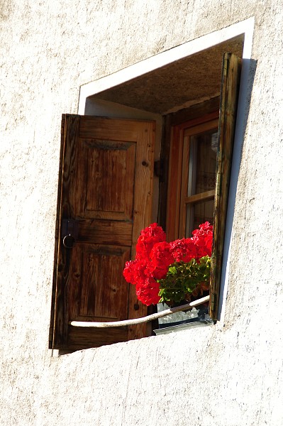 Blumenfenster