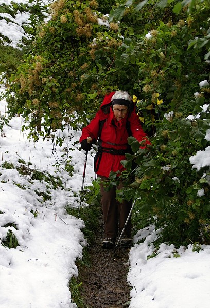 Wandern mit Hindernissen