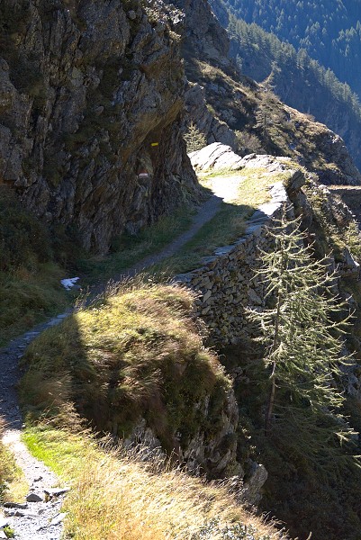 Wanderweg in der Schlucht