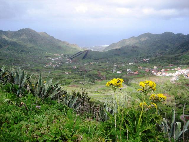 Blick über das Tal von El Palmar zur Nordküste