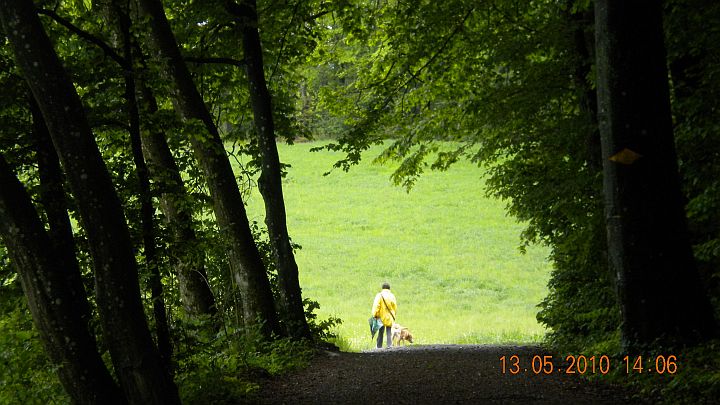 Kennenlernen Aus Oetwil An Der Limmat