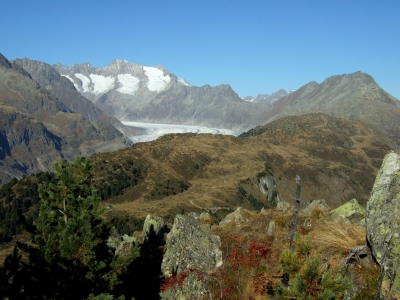 Aletsch_09