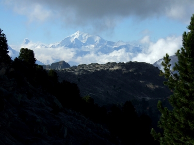 Aletsch_17