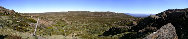 Ben Lomond N.P._04