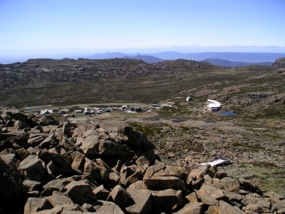 Ben Lomond N.P._06