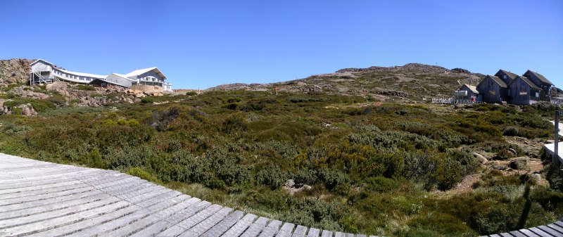 Ben Lomond N.P._07