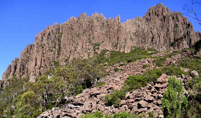 Ben Lomond N.P._10