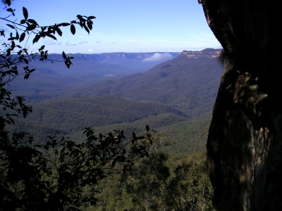 Blue Mountains_1_04