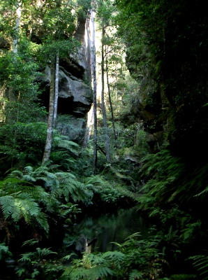 Blue Mountains_2_08