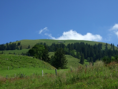 Bouchserhorn_06