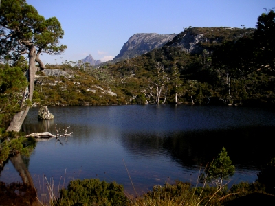 Cradle Mountain_19