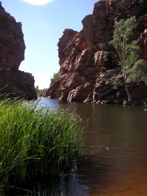 Ellery Creek Big Hole_01