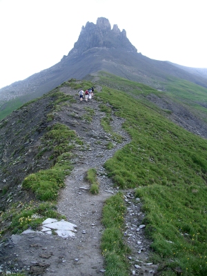 Engstligenalp_21