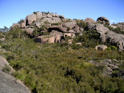 Freycinet N.P._04