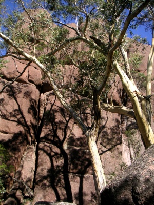 Freycinet N.P._10