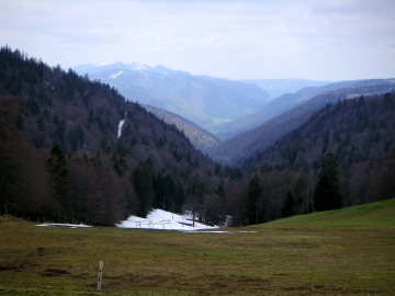 Auf dem Grenchenberg