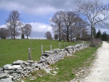 Typische Steinmauer im Jura