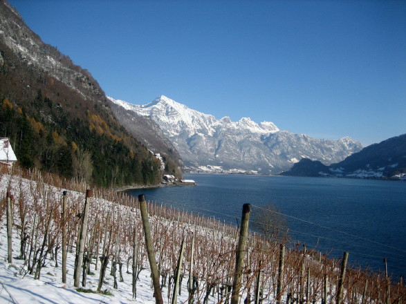 Walensee06-Alvier-Gruppe