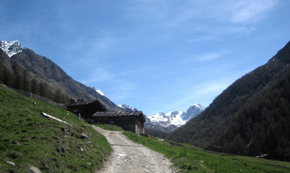 Vinschgau5-2; Jausenstation Mitterkaser mit Hoher Weisse 3279 m im  Hintergrund