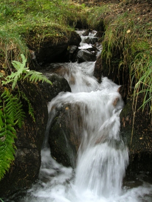 Lötschbergsüdrampe_03