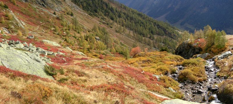 Lötschenpass_18