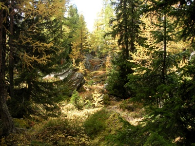 Lötschenpass_24