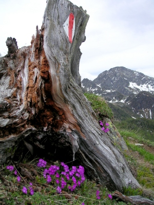 Wegmarkierung im Aufstieg zur Corte del Sasso