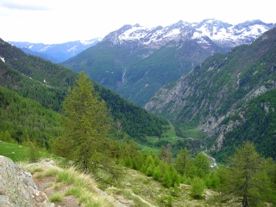 Blick vom Corte di Mezzo nach Süden