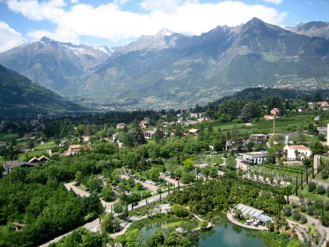 Vinschgau 3-3; Meran mit Texelgruppe