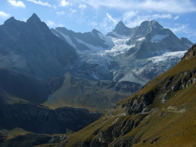 Mettelhorn_10