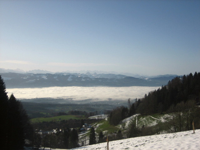 Bachtel01-Nebelmeer über ZH-See
