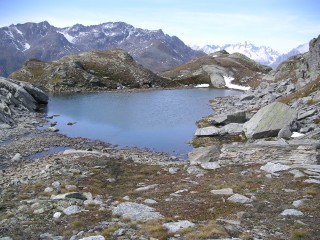 Gletscherseelein