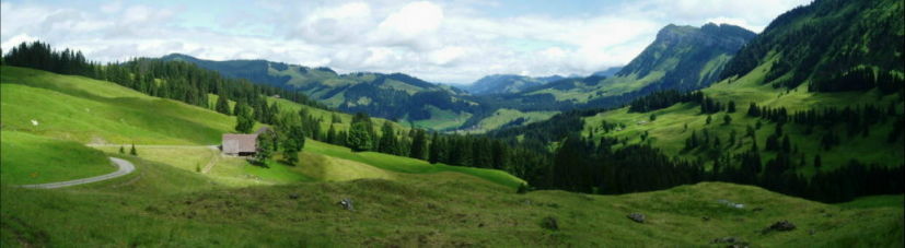 sichle4