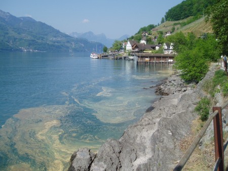 walensee 11