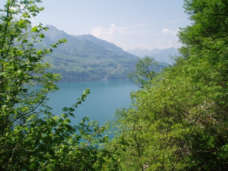 walensee 13